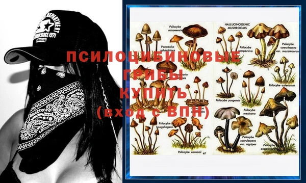 спиды Дмитровск