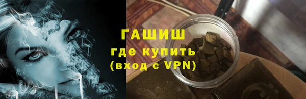 гидра Гусев