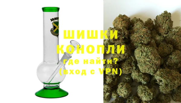гидра Гусев