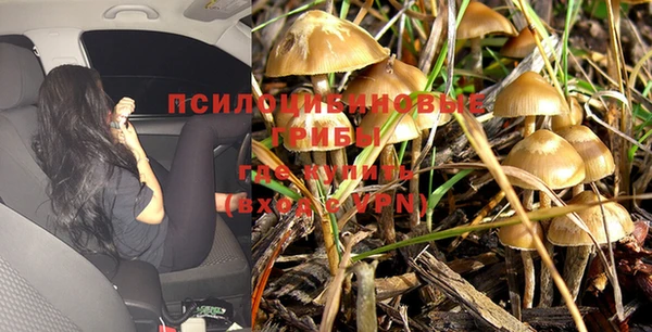 MESCALINE Дмитров
