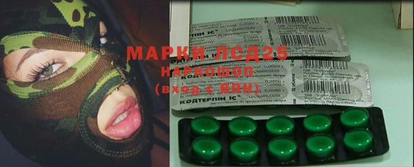 гидра Гусев