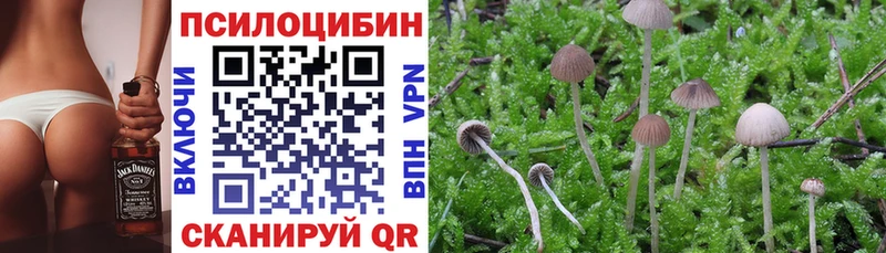 Галлюциногенные грибы Magic Shrooms  ОМГ ОМГ онион  Бугульма 